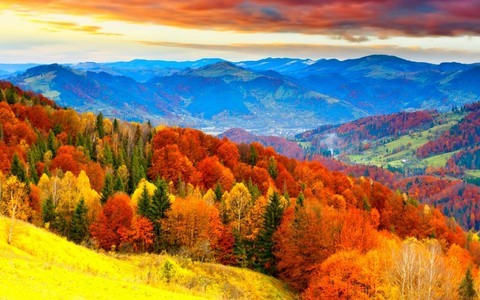 Paysage automne