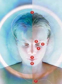 Visage et points EFT Visage et points EFT