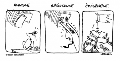 Stress - Alarme-Résistance-Epuisement